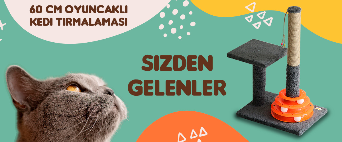 60 cm Oyuncaklı Kedi Tırmalaması Müşteri Paylaşımları